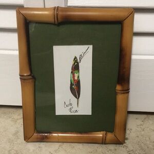 Tree Frog Painted on Feather Artwork (Costa Rica)